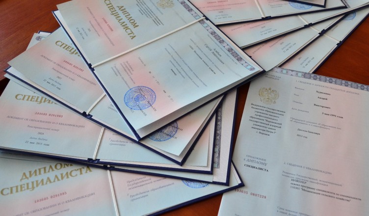 Купить диплом по торговому делу Образование и карьерные перспективы