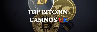 Top Crypto Casinos Your Guide to the Best Online Gambling with Cryptocurrencies