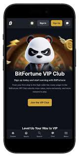 Explore Bitfortune The Ultimate Destination for Live Casino Fans