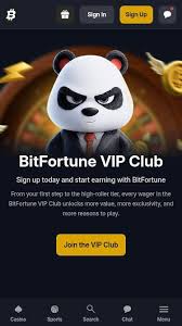 Explore the Exciting New Releases at Bitfortune Casino -1202881605
