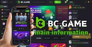 Download BC.Game Plinko App A Guide to Fun and Earnings