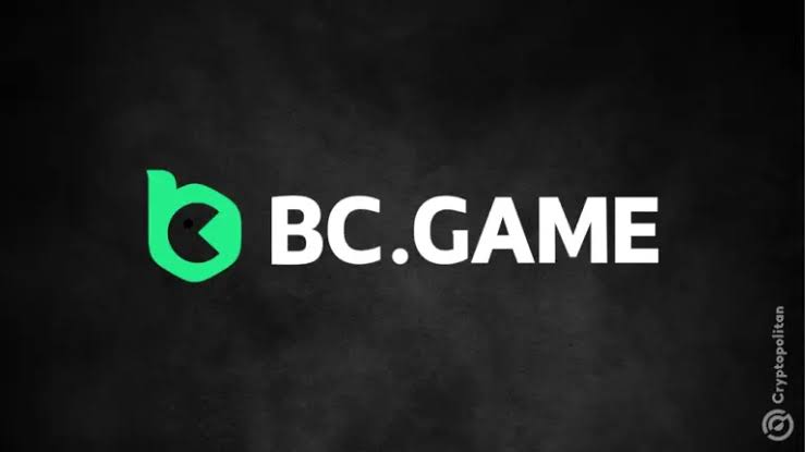 Exploring the Payment Methods at BC.Game