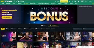The Rise of BetWinner A Comprehensive Guide to Online Betting