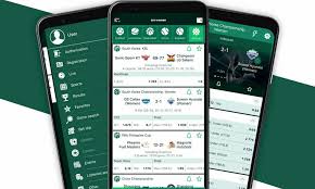 The Rise of BetWinner A Comprehensive Guide to Online Betting