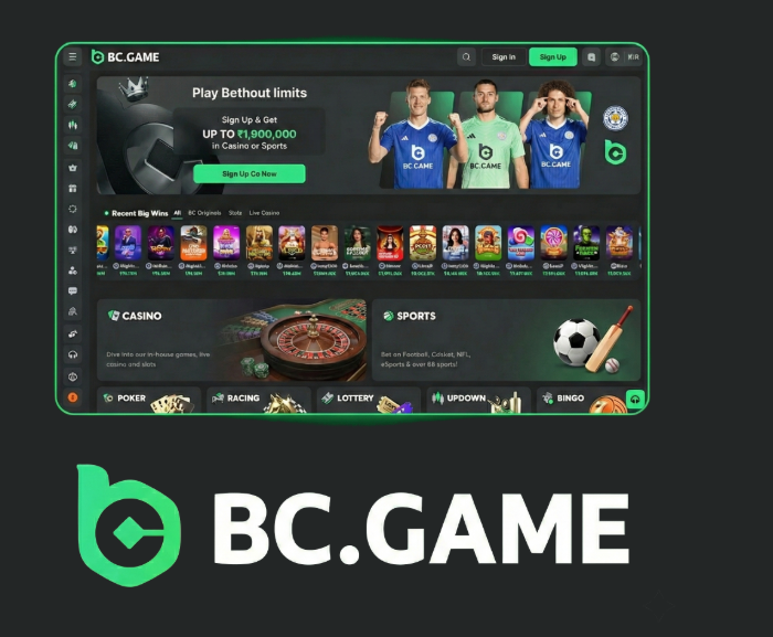 Your BC.Game Hub The Comprehensive Gaming Platform